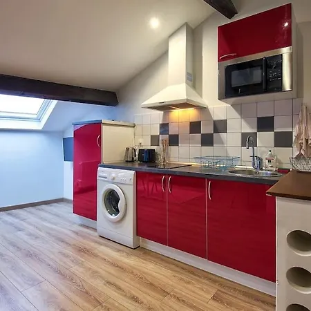 LE DAHLIA - WIFI - 8 min du centre ville - NETFLIX Appartement *
