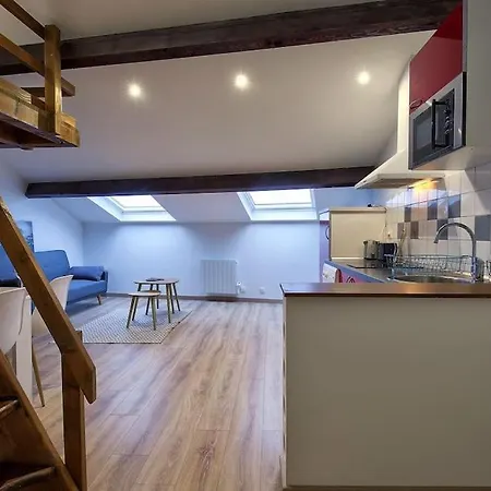 LE DAHLIA - WIFI - 8 min du centre ville - NETFLIX Appartement Nancy