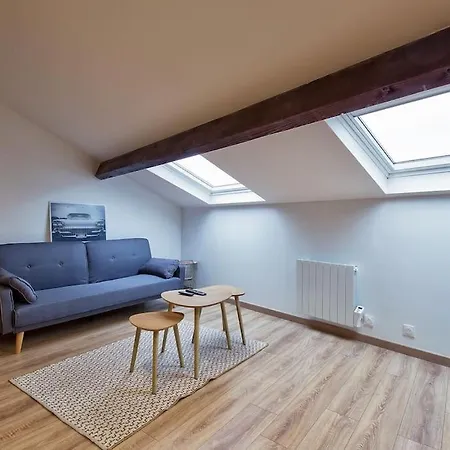 LE DAHLIA - WIFI - 8 min du centre ville - NETFLIX Appartement Nancy