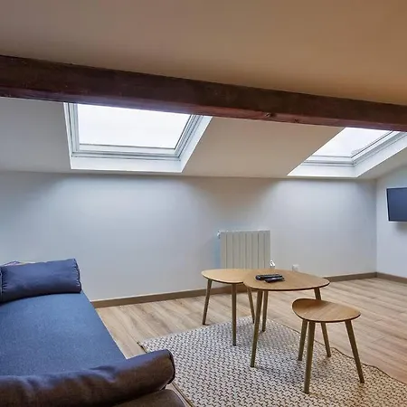 Appartement LE DAHLIA - WIFI - 8 min du centre ville - NETFLIX